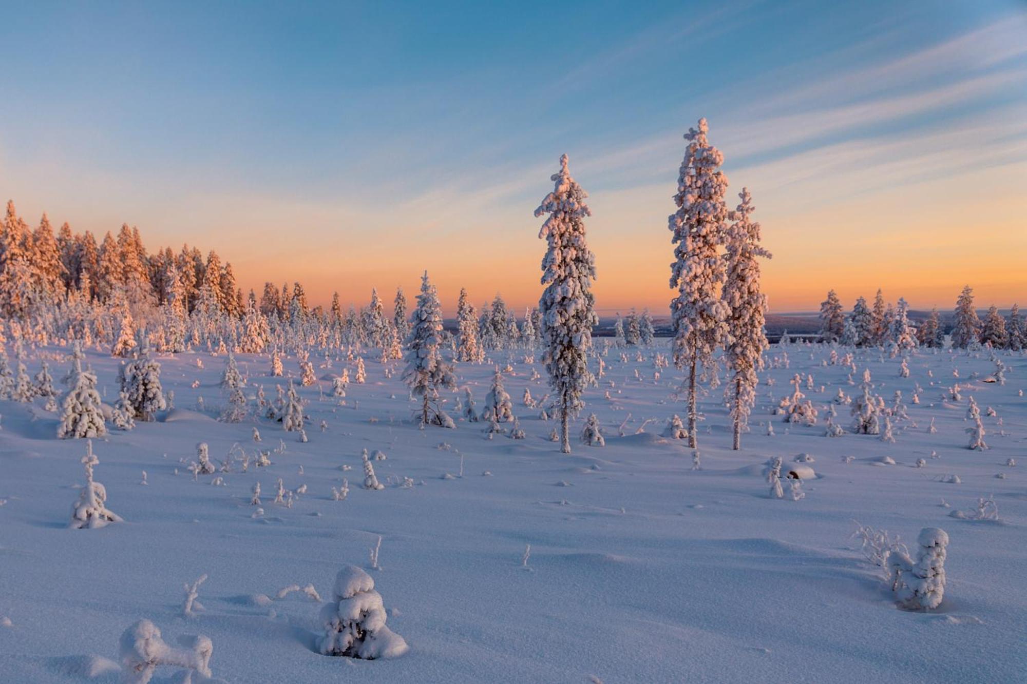 Hotel Mestarin Kievari Kemijärvi Екстериор снимка