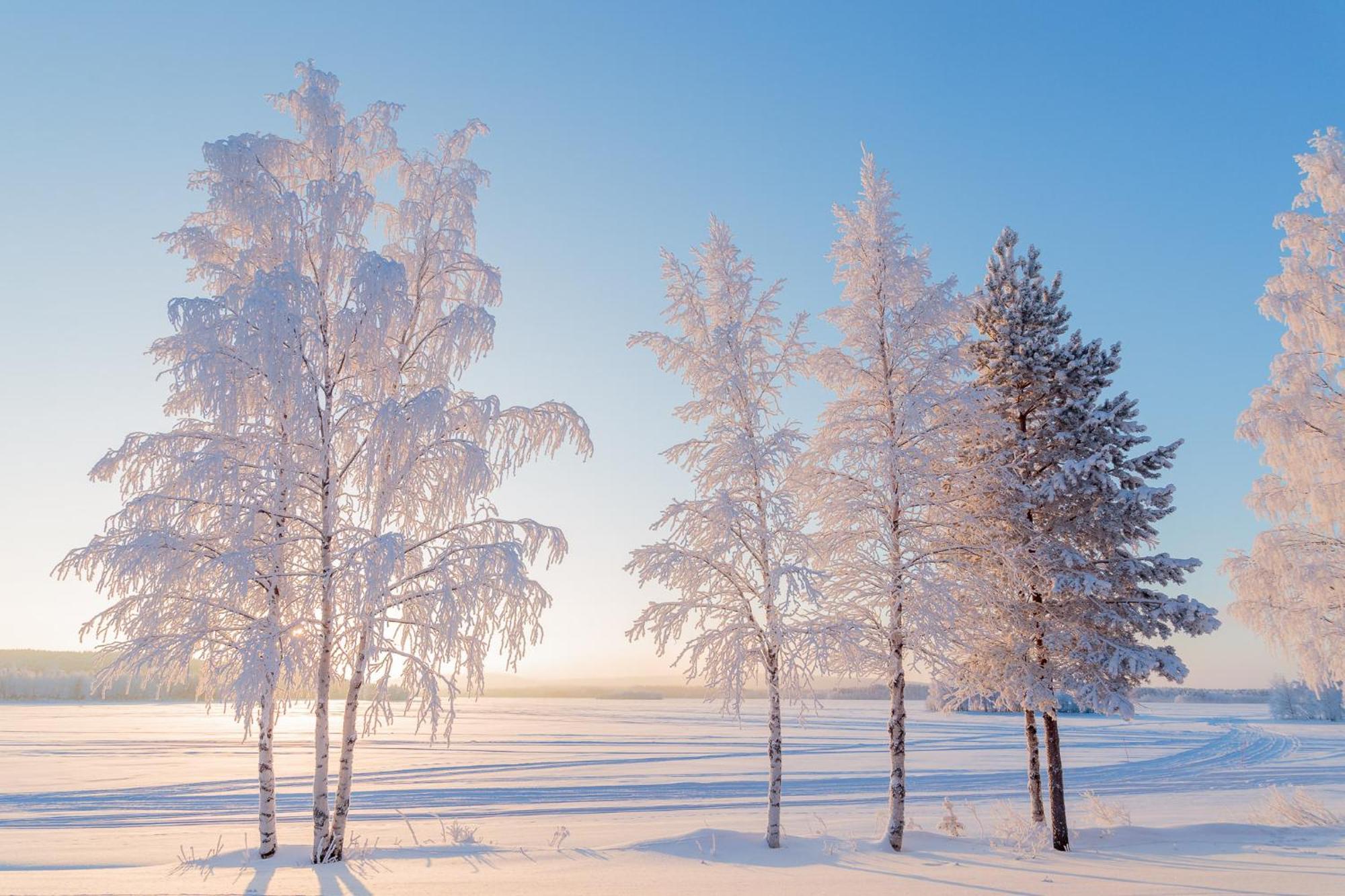 Hotel Mestarin Kievari Kemijärvi Екстериор снимка