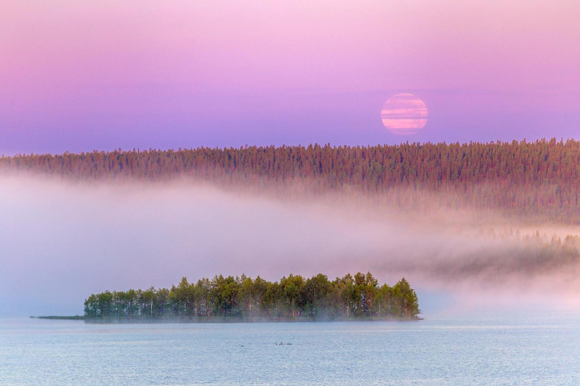 Hotel Mestarin Kievari Kemijärvi Екстериор снимка
