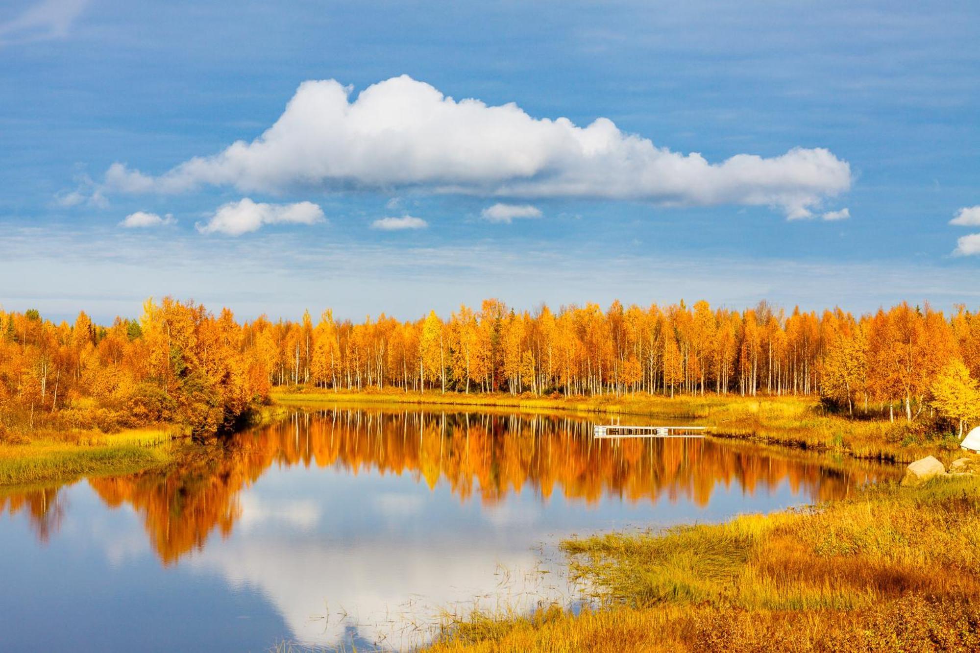 Hotel Mestarin Kievari Kemijärvi Екстериор снимка